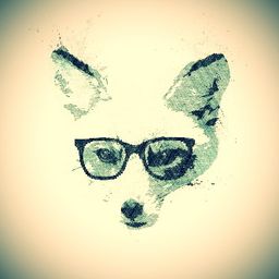Nerd Fox