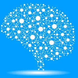 neurallearner avatar