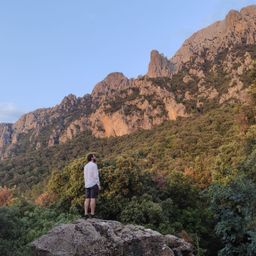 Fabio avatar