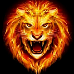 NicoHd105 avatar