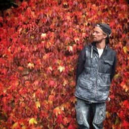 nicolcron avatar