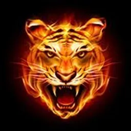 nighttiger avatar