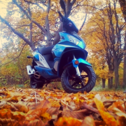 nikodem239 avatar
