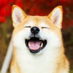 nilomck avatar