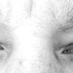 Nathan Narvaez avatar