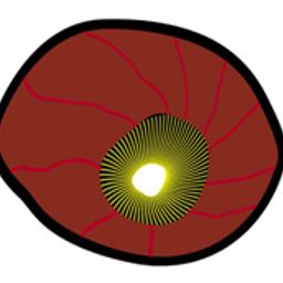 nocturnus avatar