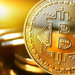 Cryptocurrency News avatar
