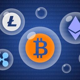 All about crypto  avatar