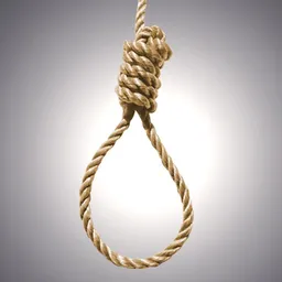 nooses avatar