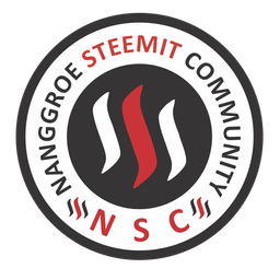 NSC NEWS avatar