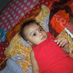 Adrika Bose avatar