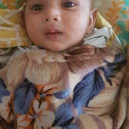 Mazumder Rizwan avatar