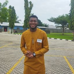 nwosujourney avatar
