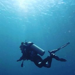 Oceanpris avatar