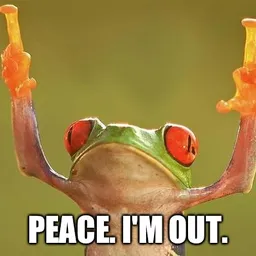 Im OUT avatar