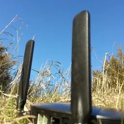 offgrid-online avatar