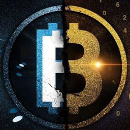 cryptoworld avatar