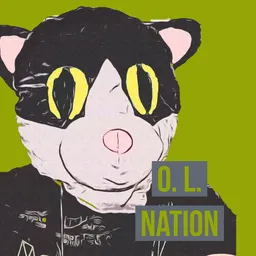 O. L. NATION avatar