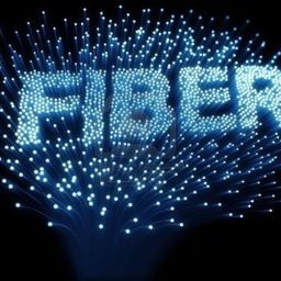omnifiber avatar