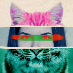 Oncyfia avatar