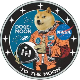 onefatdoge avatar