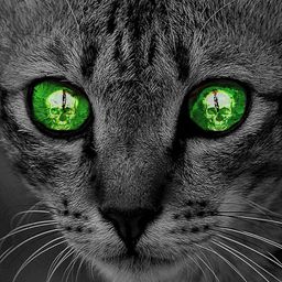 onufry avatar
