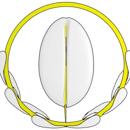 OpenSeed Labs avatar