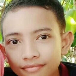 opicsatria avatar