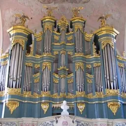 Organ Playing avatar