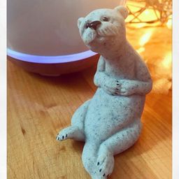 otterbeme avatar