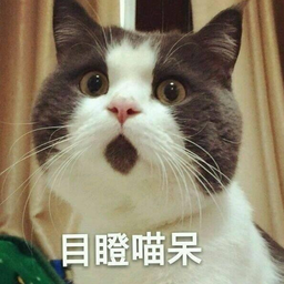 长老 avatar