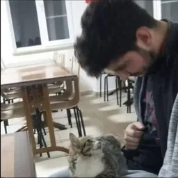 Ali Güven avatar