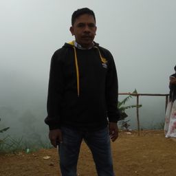 p15 avatar