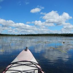 paddlingnature avatar