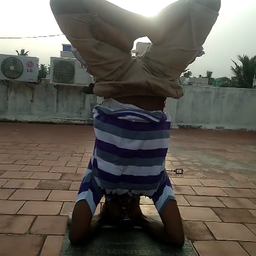 Anna Guru avatar