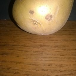 Panibaba avatar