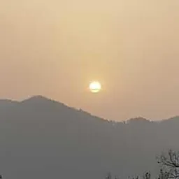 아웃룩 avatar