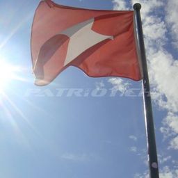 Patriot.ch avatar