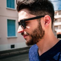 Paulo avatar