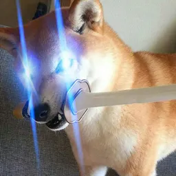 PayMePlugYeah avatar