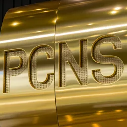 pcns avatar