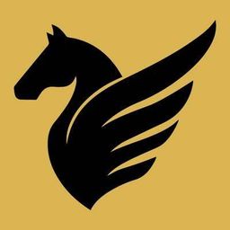 PegasusX avatar