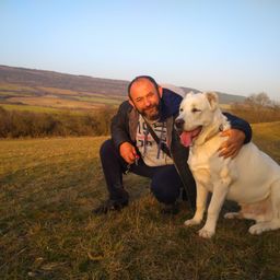petar avatar