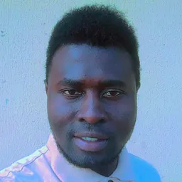 Peter Aleraiye Adekunle avatar