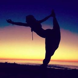 @peterroll avatar