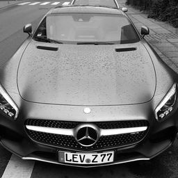 mulsanne avatar