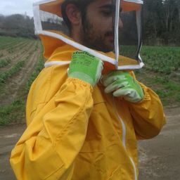 HappyBees avatar