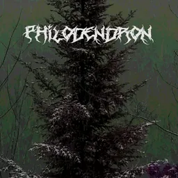 philodendron avatar