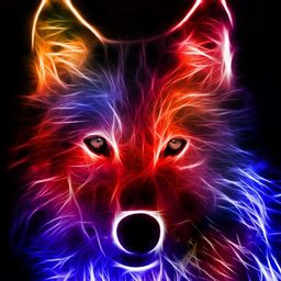 phoenixgold avatar