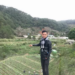 Phongvu avatar